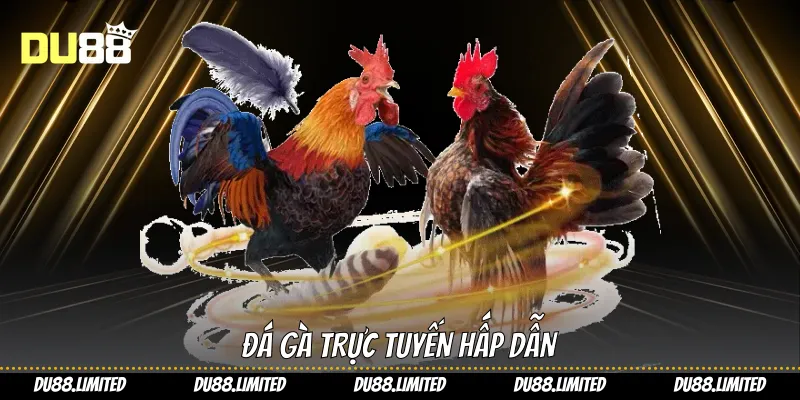Đá Gà Cựa Dao: Làm Chủ Mọi Trận Chiến Kê Du88 Đá gà trực tuyến hấp dẫn